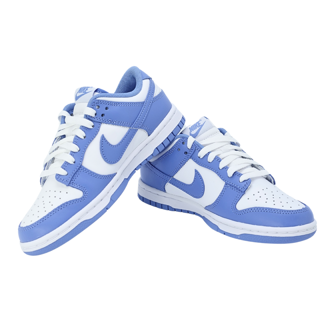 Nike Dunk Low Polar Blue